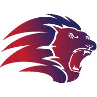 Singapore Premier League